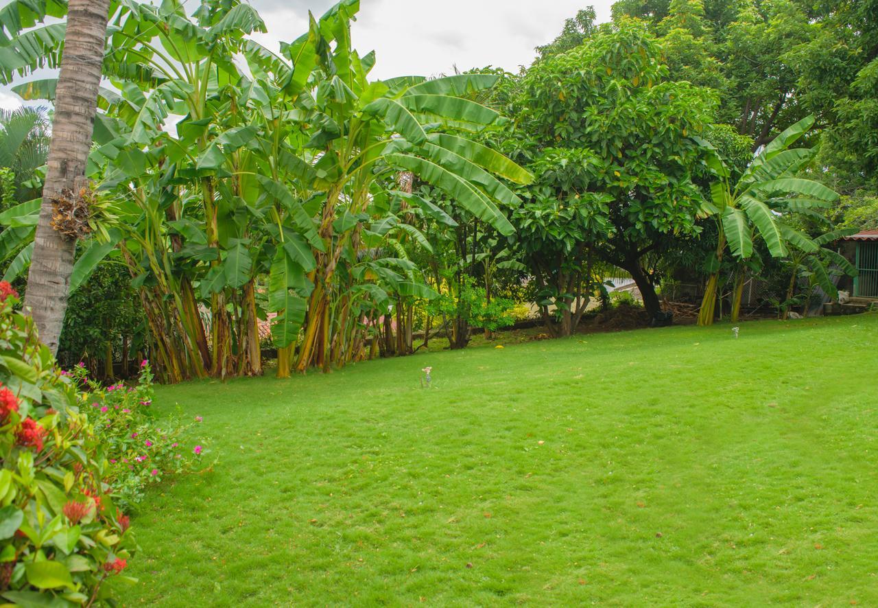 Hotel Fontana Managua Eksteriør billede