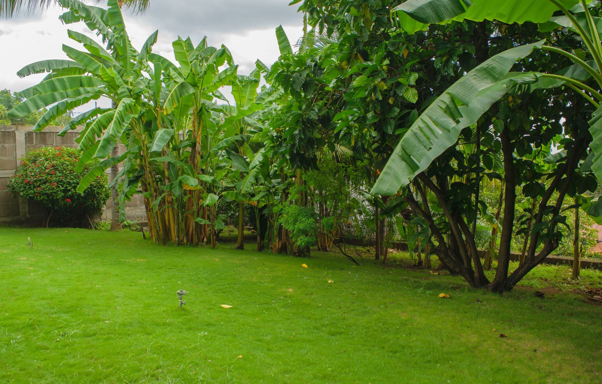 Hotel Fontana Managua Eksteriør billede